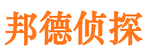 尼勒克侦探